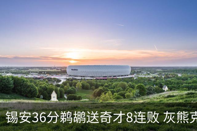 锡安36分鹈鹕送奇才8连败 灰熊克火箭止9连败